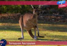 Орел и Решка: Морской сезон - Западная Австралия