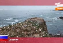 Орел и Решка: Россия - Сахалин (14 серия)