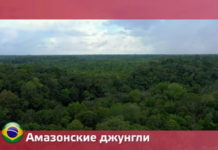 Орел и Решка: Чудеса света - джунгли Амазонки 22 сезон 13 выпуск